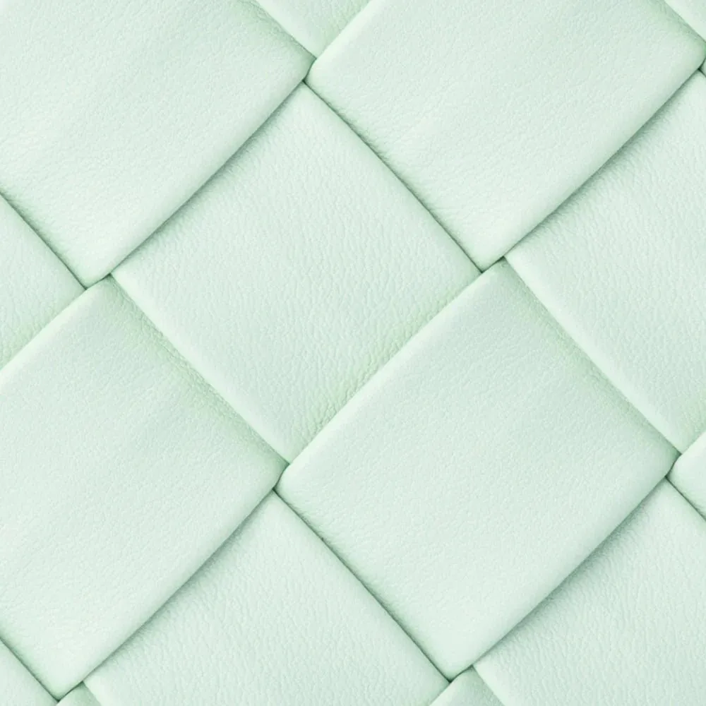 Quinn Woven Clutch in Mint